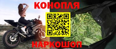 дмт Донской
