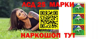 дмт Донской