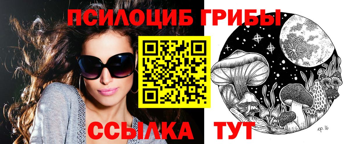 Галлюциногенные грибы GOLDEN TEACHER  Галлюциногенные грибы прущие грибы  Надым  Вход с VPN 